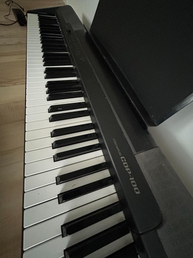 Zdjęcie oferty: PIANINO CYFROWE Keyboard CASIO CDP-100 STAN BDB