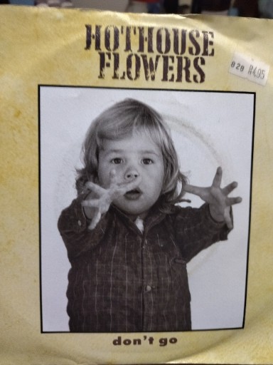 Zdjęcie oferty: Hothouse Flowers Don't Go / Saved single winyl '7