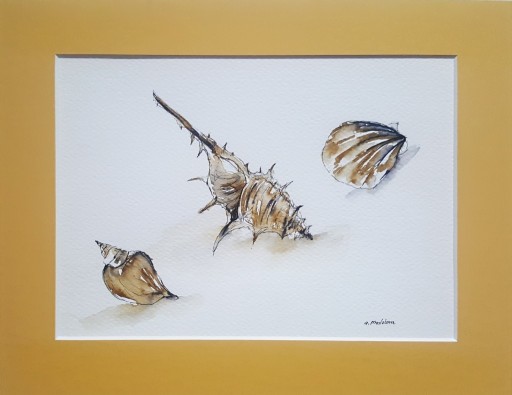 Zdjęcie oferty: Obraz ręcznie malowany muszelki morskie