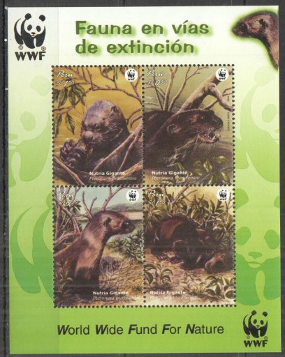 Zdjęcie oferty: WWF wydra** Peru 2004
