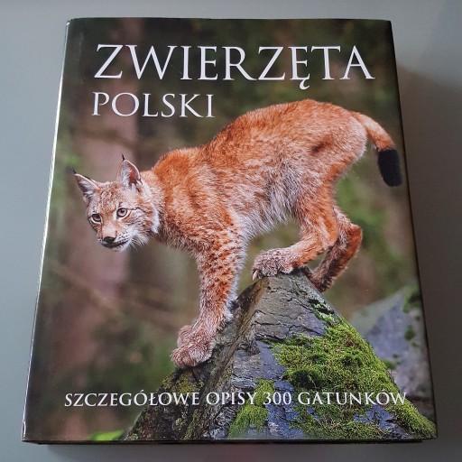 Zdjęcie oferty: Zwierzęta Polski Szczegółowe opisy 300 gatunków