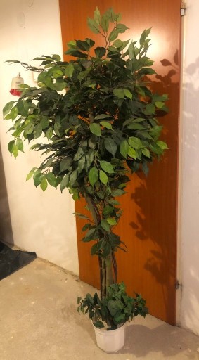 Zdjęcie oferty: Sztuczne drzewko 175 cm, jak żywa roślina