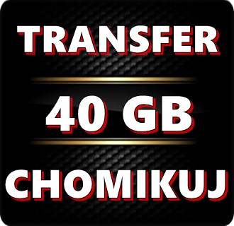 Zdjęcie oferty: TRANSFER CHOMIKUJ 40 GB  - BEZTERMINOWO