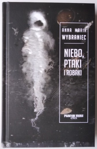 Zdjęcie oferty: Niebo, ptaki i robaki - Anna Maria Wybraniec