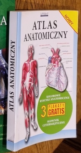 Zdjęcie oferty: Atlas anatomiczny czterojęzyczny, Literat