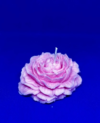 Zdjęcie oferty: świece sojowe handmade - kwiat DUŻY