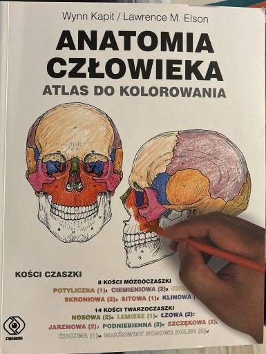 Zdjęcie oferty: Anatomia człowieka. Atlas do kolorowania. W Kapit