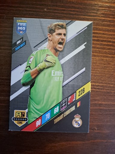 Zdjęcie oferty: Panini Fifa 365 2024,RMA1, Courtois, Team Mate