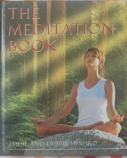 Zdjęcie oferty: Shapiro The meditation book 