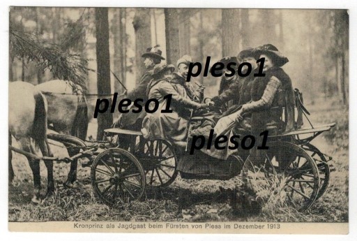 Zdjęcie oferty: Pszczyna Pless polowanie Koronprinz 1913