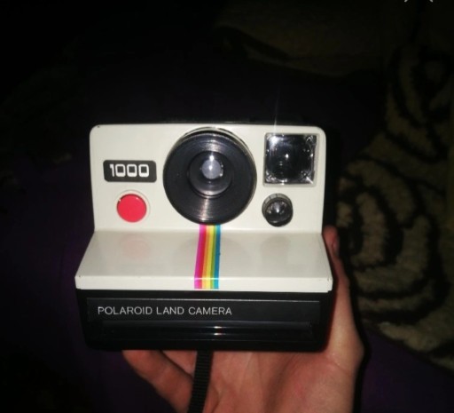 Zdjęcie oferty: Polaroid land camera 1000