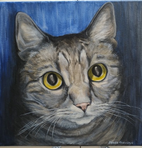 Zdjęcie oferty: Obraz akrylowy  kot, ręcznie malowany
