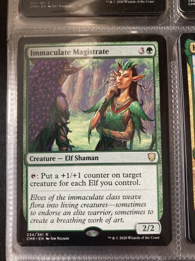 Zdjęcie oferty: Immaculate Magistrate