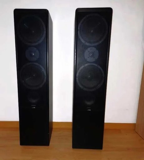 Zdjęcie oferty: Canton Ergo 82 DC