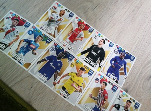 Zdjęcie oferty: Panini 2020 fifa 365 