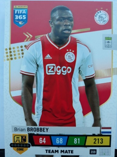 Zdjęcie oferty: Brian BROBBEY 359 FIFA 365 AJAX TEAM MATE