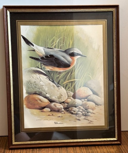 Zdjęcie oferty: Śliczny stary obrazek ptak Kłos pszenicy 
