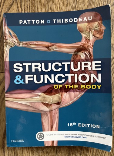 Zdjęcie oferty: Structure & Function of the body