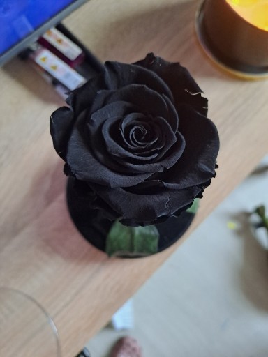 Zdjęcie oferty: Czarna róża w szkle