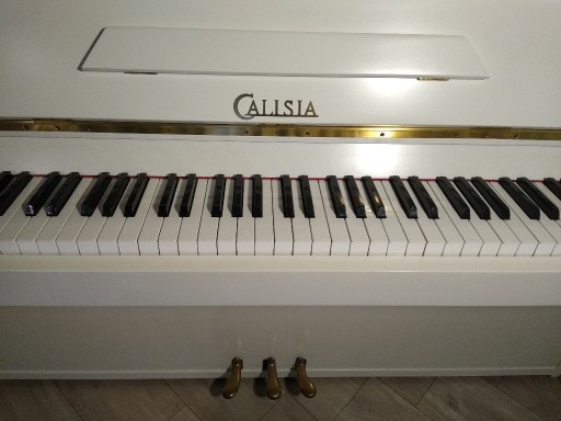 Zdjęcie oferty: Pianino Calisia M-105 Nocturno