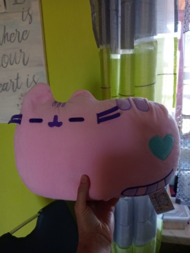 Zdjęcie oferty: Poduszka pusheen maskotka 