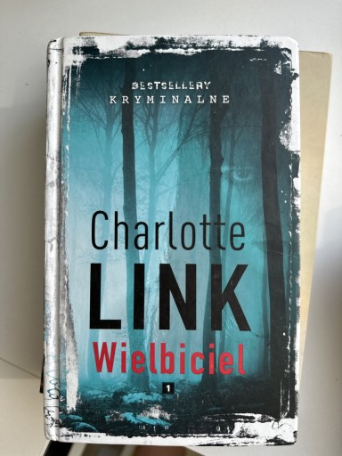 Zdjęcie oferty: Charlotte Link Wielbiciel 