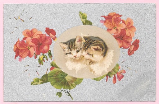 Zdjęcie oferty: Dwa małe koty na artystycznej pocztówce ...