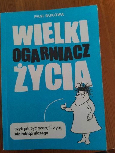 Zdjęcie oferty: Wielki ogarniacz życia