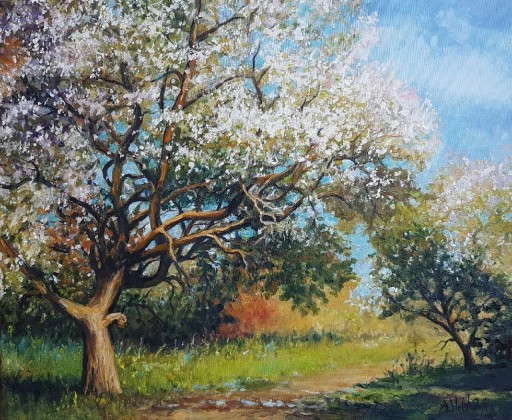 Zdjęcie oferty: Obraz olejny Wiosna w sadzie 
