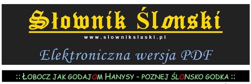 Zdjęcie oferty: Duopack Słownika Śląskiego w PDF