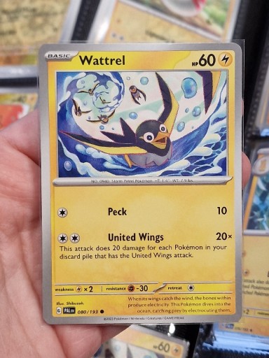 Zdjęcie oferty: Karta pokemon Wattrel (PAL 080) Paldea Evolved 