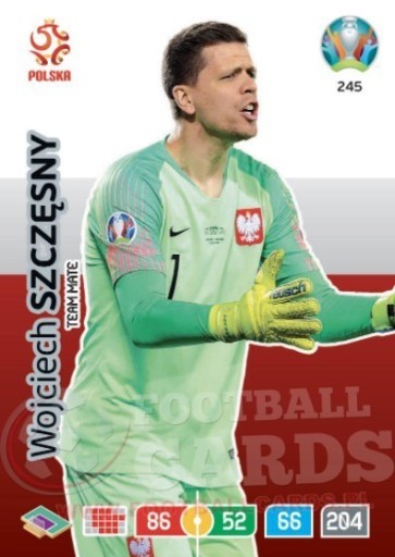 Zdjęcie oferty: SZCZESNY Team Mate 245 EURO 2020 UEFA Polska