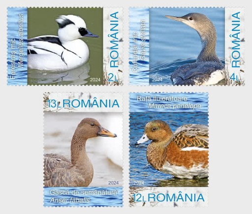 Zdjęcie oferty: RUMUNIA - fauna ptaki kaczki seria 2024**