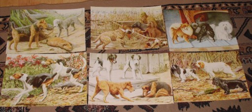 Zdjęcie oferty: Zwierzęta  reprint XIX w. grafik do aranżacji wnętrza