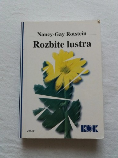 Zdjęcie oferty: Nancy Gay Rotstein Rozbite Lustra bdb