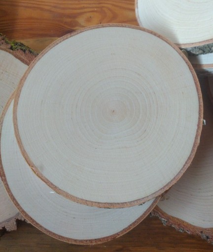 Zdjęcie oferty: Plastry drewna brzozowego krążki szlif śr ok 14 cm