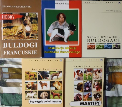 Zdjęcie oferty: 5 x BULDOGI BULLE MASTIFY psy bojowe świata