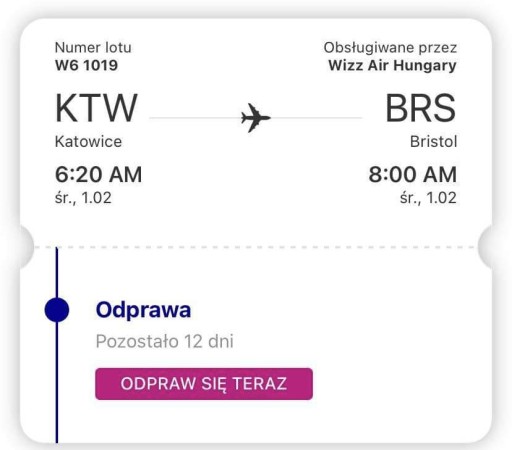 Zdjęcie oferty: Bilety lotnicze Katowice-Bristol, Bristol-Katowice