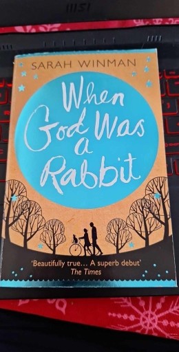 Zdjęcie oferty: When God Was a Rabbit; Sarah Winman