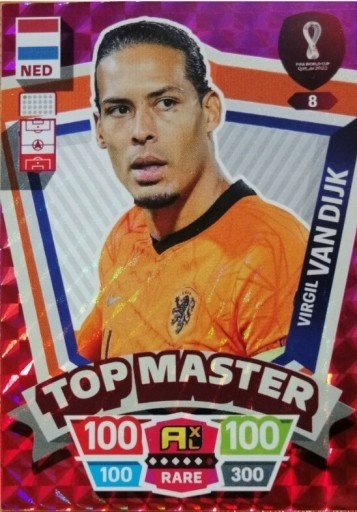 Zdjęcie oferty: World Cup Qatar 2022 Virgil van Dijk top master