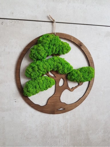 Zdjęcie oferty: Drzewko bonsai z mchu chrobotka 20 cm prezent 