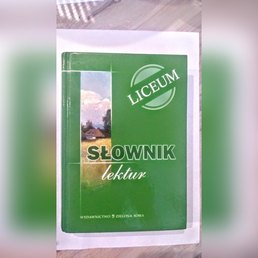 Zdjęcie oferty: Słownik lektur liceum matura język polski 