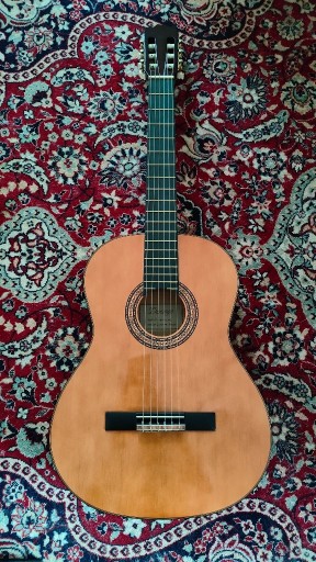 Zdjęcie oferty: Gitara klasyczna Durango MG-011 + pokrowiec