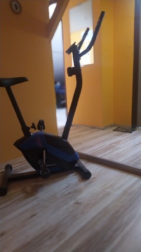 Zdjęcie oferty: Rower treningowy