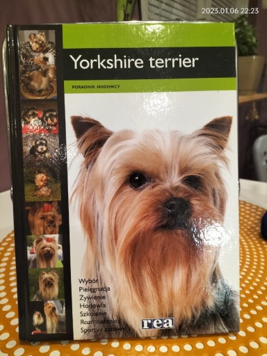 Zdjęcie oferty: Yorkshire Terrier - Poradnik Hodowcy 