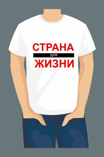 Zdjęcie oferty: koszulka  T-shirt  Białoruś Męs  rozmiar do wyboru