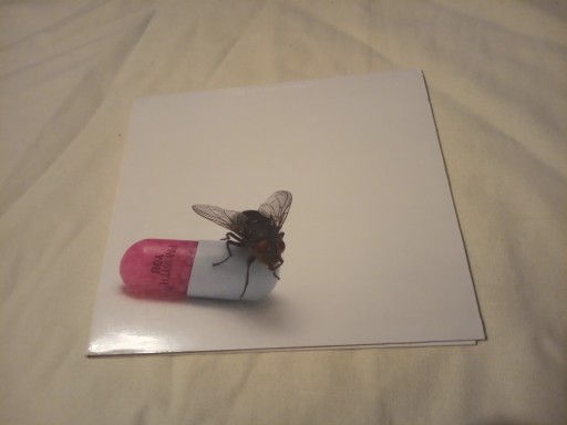 Zdjęcie oferty: RED HOT CHILI PEPPERS - I'M WITH YOU CD