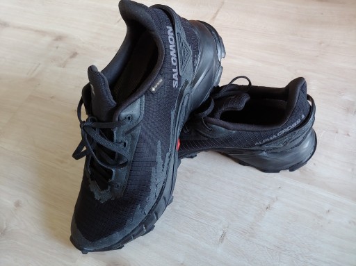 Zdjęcie oferty: buty Salomon Alpha Cross 4 GTX 