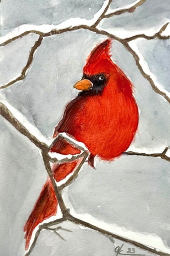 Zdjęcie oferty: Obraz Czerwony kardynał na gałęzi,akwarela 24*16cm