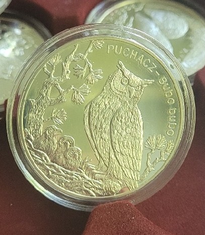 Zdjęcie oferty: Srebrna moneta 20 zł sowa